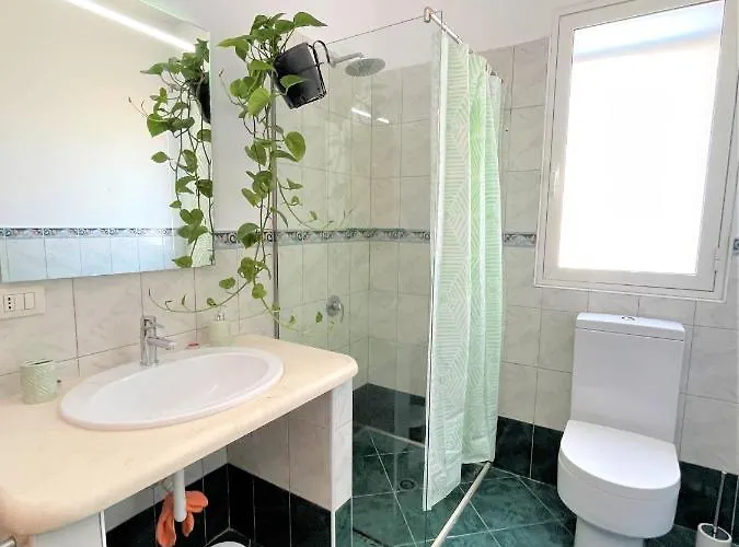 Pothos' House Vlorë