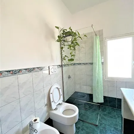 Pothos' House Apartament